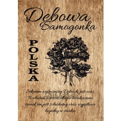 Etykieta na butelkę - Dębowa Samogonka